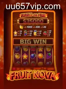 Descubra o Fascinante Mundo de FruitNova